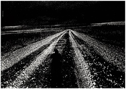 HOKKAIDO【新刊 / New Publication】【サイン入 / Signed】