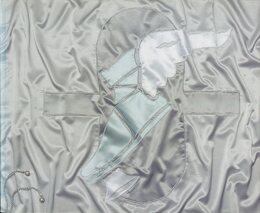 Matthew Barney　Cremaster 1