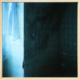 We are Made of Grass, Soil, and TreesUntitled #212【サイン入 / Signed】