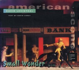 Small Wonder: Worlds in a Box