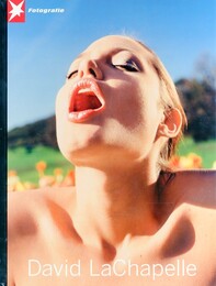 Stern Fotografie Portfolio No.51　David LaChapelle