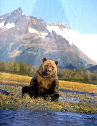 A Magazine #11 curated by Rodarte