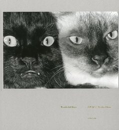 Wonderful Days（Special Edition）