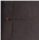 ashes and snow the film