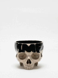 PAINTED SKULLPTURE  器 E.G.