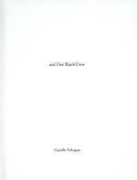 Twenty One Red-crowned Cranes and One Black Crow【サイン入 / Signed】