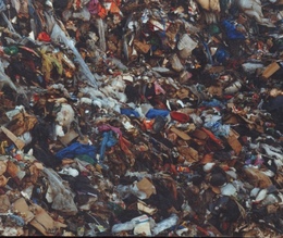 The Patriarch's Wardrobe【サイン入 / Signed】