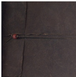 ashes and snow the film