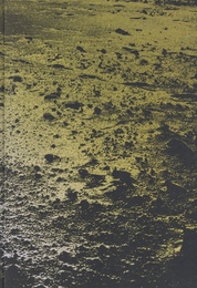 COSTA【サイン入 / Signed】