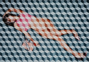 BLUE ON PINK GIRL