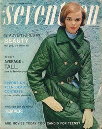 seventeen 