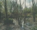 GIFLANDSCHAP POISEND LANDSCAPE