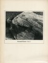 Gerard Fieret　foto's