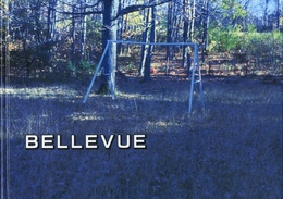 BELLEVUE - LANDSCAPE PHOTOGRAPHS
