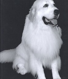 kura