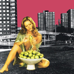 サラ・ハーデカー キャンバス額「BAD APPLE」