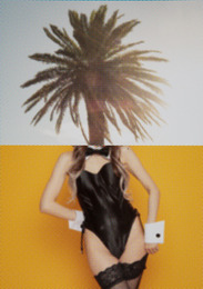 Palm Tree & Bunny