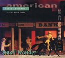 Small Wonder: Worlds in a Box