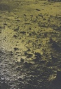 COSTA【サイン入 / Signed】