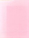Gary Hume : Paintings