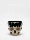 PAINTED SKULLPTURE  器 E.G.