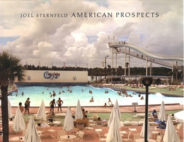 AMERICAN PROSPECTS