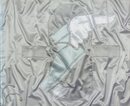 Matthew Barney　Cremaster 1