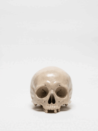 PAINTED SKULLPTURE オブジェ