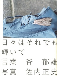 日々はそれでも輝いて【サイン入 / Signed】