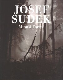 Mionsi Forest