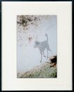 アフンルパル光のつぶ、つちのなか、ベンガル【サイン入 / Signed】