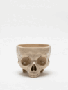 PAINTED SKULLPTURE  器 E.G.