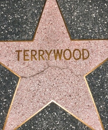 TERRYWOOD