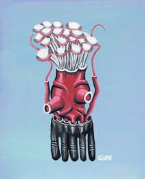 mushroomPUMP