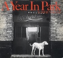 A Year In Park