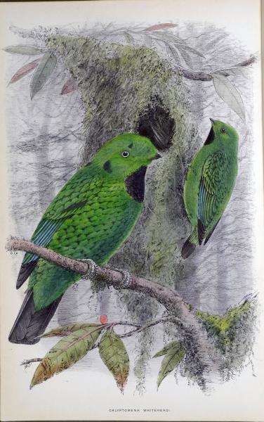 Oeuvres. Illustres par J.-M.Folon. ジャック・プレヴェール