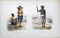 The Exploration of Kina Balu. North Borneo. with coloured plates and orginal illustrations. 北ボルネオのキナバル山
探検記　