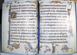 （羅）ラットレル祈祷書　大英図書館蔵細密写本ファクシミリ　 Luttrell Psalter. British Library Additional MS 42130. With: BROWN,M.P. The Luttrell Psalter. Commentary.