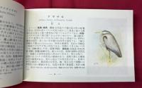 観察手引原色野鳥図