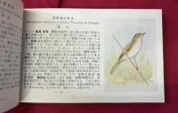 観察手引原色野鳥図