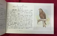観察手引原色野鳥図