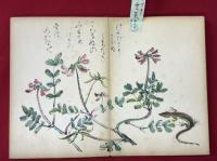 四季おりおりの花