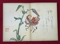 四季おりおりの花