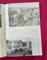 満洲移民地視察案内