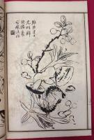芥子園五集