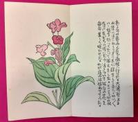 山野花手帖