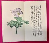 山野花手帖