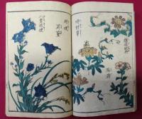 艸花絵手本
