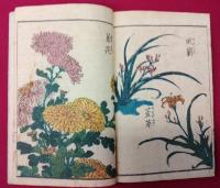 艸花絵手本