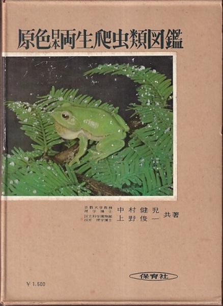 原色日本両生爬虫類図鑑 (中村健児・上野俊一) / 古本、中古本、古書籍